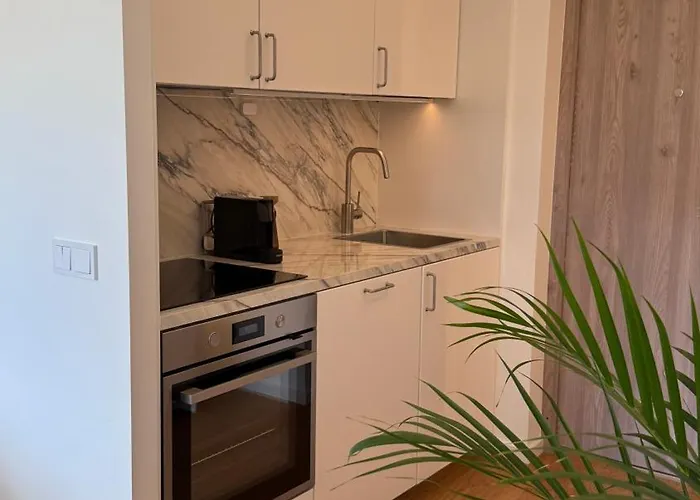 Algirdo Sunlight Apartament Wilno