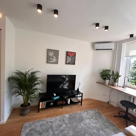 Algirdo Sunlight Apartment